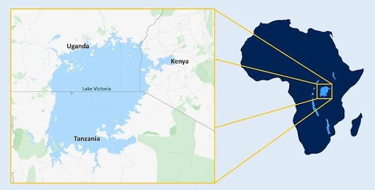 Ngamba Island（恩甘巴岛）和 Uganda（乌干达）
