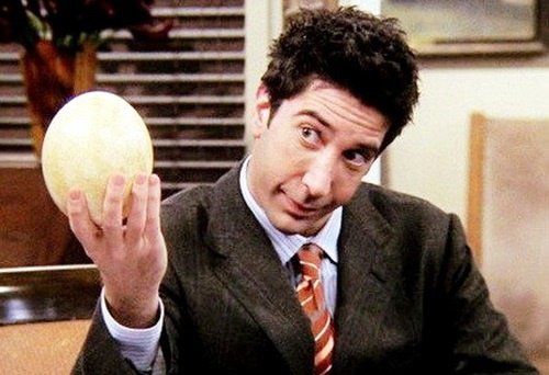 《老友记》中的古生物学家 Ross Geller
